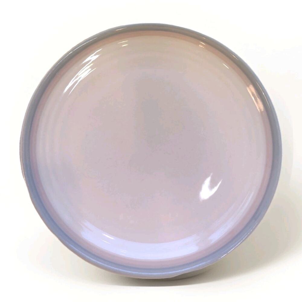 Pfaltzgraff Stoneware Aura Pink Dinner Plate VINTAGE 10 In Cottage Core Farm